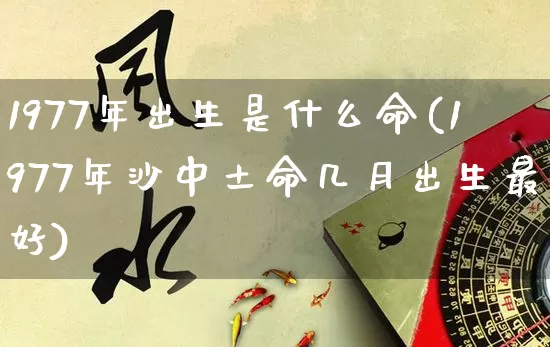 1977年出生是什么命(1977年沙中土命几月出生最好)_https://www.dao-sheng-yuan.com_算命_第1张