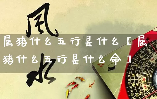 属猪什么五行是什么【属猪什么五行是什么命】_https://www.dao-sheng-yuan.com_生肖属相_第1张