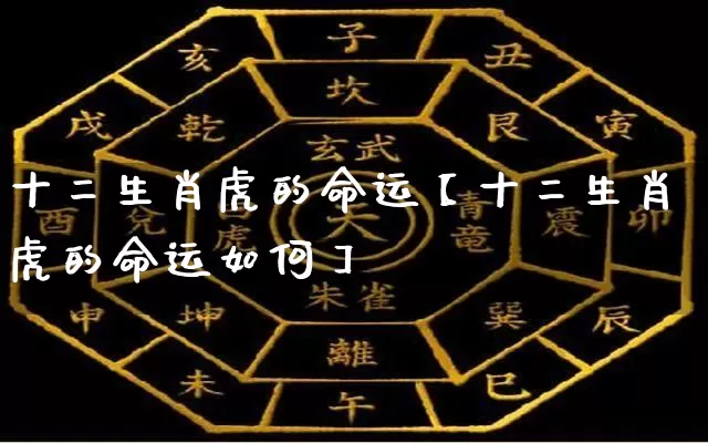 十二生肖虎的命运【十二生肖虎的命运如何】_https://www.dao-sheng-yuan.com_道源国学_第1张