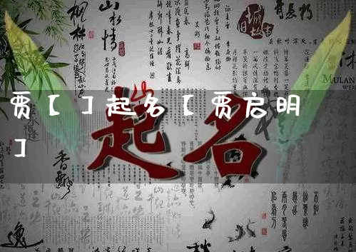 贾【】起名【贾启明】_https://www.dao-sheng-yuan.com_五行_第1张