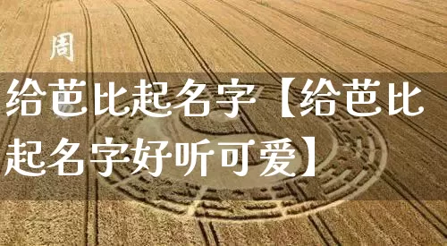给芭比起名字【给芭比起名字好听可爱】_https://www.dao-sheng-yuan.com_八字_第1张