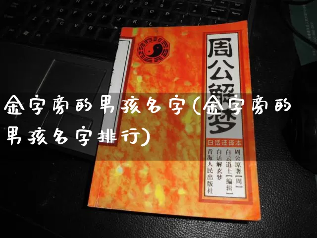 金字旁的男孩名字(金字旁的男孩名字排行)_https://www.dao-sheng-yuan.com_风水_第1张