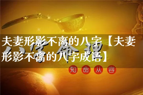 夫妻形影不离的八字【夫妻形影不离的八字成语】_https://www.dao-sheng-yuan.com_道源国学_第1张