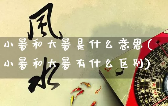 小暑和大暑是什么意思(小暑和大暑有什么区别)_https://www.dao-sheng-yuan.com_周公解梦_第1张