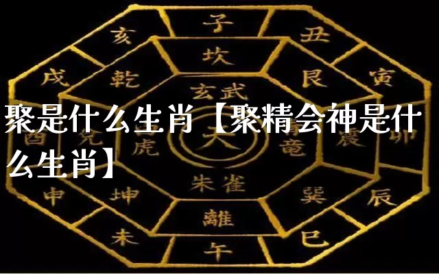 聚是什么生肖【聚精会神是什么生肖】_https://www.dao-sheng-yuan.com_周公解梦_第1张