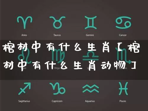 棺材中有什么生肖【棺材中有什么生肖动物】_https://www.dao-sheng-yuan.com_生肖属相_第1张