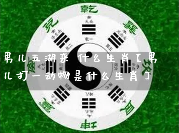 男儿五湖来 什么生肖【男儿打一动物是什么生肖】_生肖属相_第1张_道圣缘 男儿五湖来 什么生肖【男儿打一动物是什么生肖】_https://www.dao-sheng-yuan.com_生肖属相_第1张