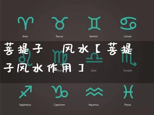 菩提子   风水【菩提子风水作用】_https://www.dao-sheng-yuan.com_风水_第1张