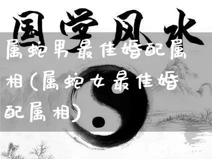 属蛇男最佳婚配属相(属蛇女最佳婚配属相)_https://www.dao-sheng-yuan.com_易经_第1张