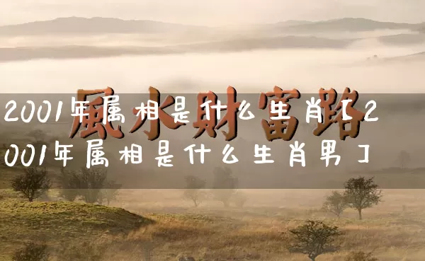 2001年属相是什么生肖【2001年属相是什么生肖男】_https://www.dao-sheng-yuan.com_起名_第1张