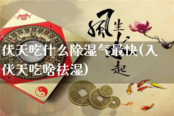 伏天吃什么除湿气最快(入伏天吃啥祛湿)_https://www.dao-sheng-yuan.com_八字_第1张