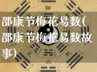 邵康节梅花易数(邵康节梅花易数故事)_https://www.dao-sheng-yuan.com_周公解梦_第1张