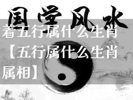 着五行属什么生肖【五行属什么生肖属相】_https://www.dao-sheng-yuan.com_道源国学_第1张