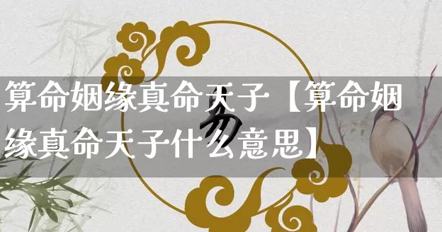 算命姻缘真命天子【算命姻缘真命天子什么意思】_https://www.dao-sheng-yuan.com_起名_第1张