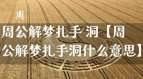 周公解梦扎手 洞【周公解梦扎手洞什么意思】_https://www.dao-sheng-yuan.com_道源国学_第1张