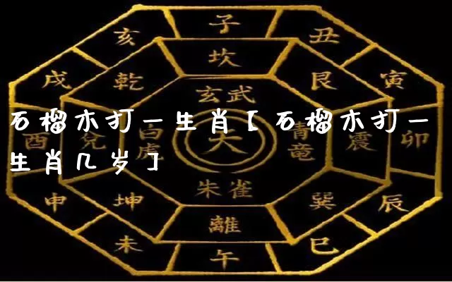 石榴木打一生肖【石榴木打一生肖几岁】_https://www.dao-sheng-yuan.com_五行_第1张