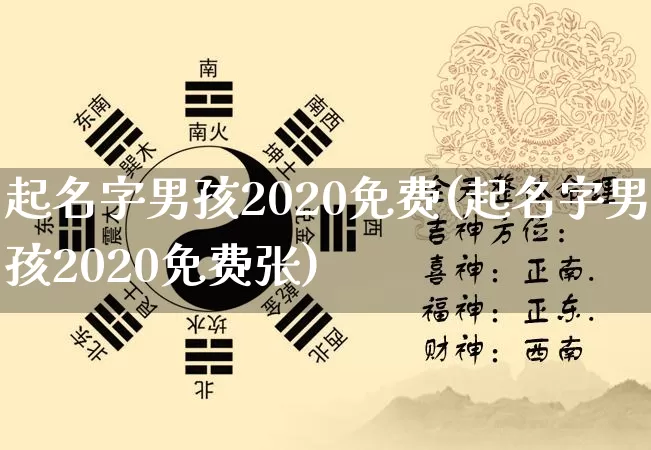 起名字男孩2020免费(起名字男孩2020免费张)_https://www.dao-sheng-yuan.com_周公解梦_第1张