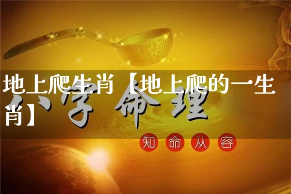 地上爬生肖【地上爬的一生肖】_https://www.dao-sheng-yuan.com_八字_第1张