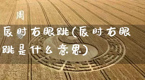 辰时右眼跳(辰时右眼跳是什么意思)_周公解梦_第1张_道圣缘 辰时右眼跳(辰时右眼跳是什么意思)_https://www.dao-sheng-yuan.com_周公解梦_第1张