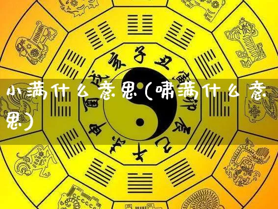 小满什么意思(啸满什么意思)_https://www.dao-sheng-yuan.com_算命_第1张