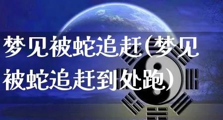 梦见被蛇追赶(梦见被蛇追赶到处跑)_https://www.dao-sheng-yuan.com_周公解梦_第1张