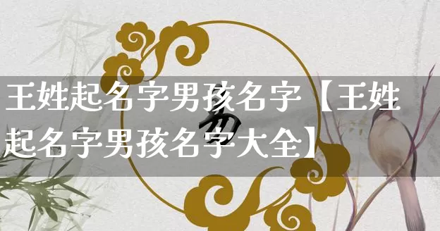 王姓起名字男孩名字【王姓起名字男孩名字大全】_https://www.dao-sheng-yuan.com_五行_第1张