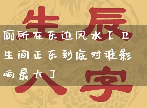 厕所在东边风水【卫生间正东到底对谁影响最大】_https://www.dao-sheng-yuan.com_易经_第1张