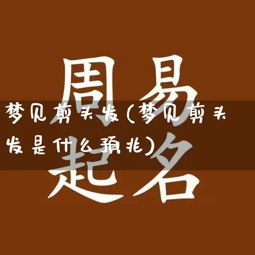 梦见剪头发(梦见剪头发是什么预兆)_https://www.dao-sheng-yuan.com_十二星座_第1张
