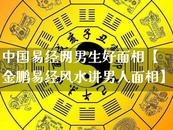 中国易经网男生好面相【金鹏易经风水讲男人面相】_https://www.dao-sheng-yuan.com_算命_第1张