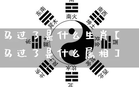 马过了是什么生肖【马过了是什么属相】_https://www.dao-sheng-yuan.com_风水_第1张