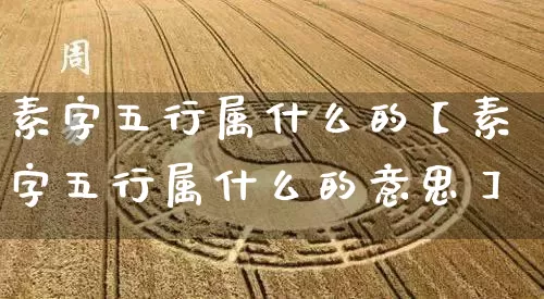 素字五行属什么的【素字五行属什么的意思】_https://www.dao-sheng-yuan.com_易经_第1张