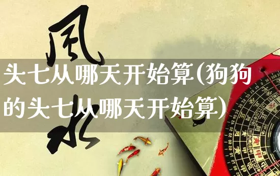 头七从哪天开始算(狗狗的头七从哪天开始算)_https://www.dao-sheng-yuan.com_周公解梦_第1张