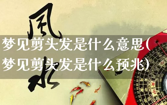 梦见剪头发是什么意思(梦见剪头发是什么预兆)_https://www.dao-sheng-yuan.com_生肖属相_第1张