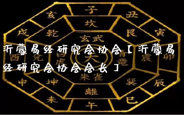 沂蒙易经研究会协会【沂蒙易经研究会协会会长】_https://www.dao-sheng-yuan.com_易经_第1张