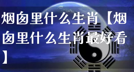 烟囱里什么生肖【烟囱里什么生肖最好看】_https://www.dao-sheng-yuan.com_周公解梦_第1张