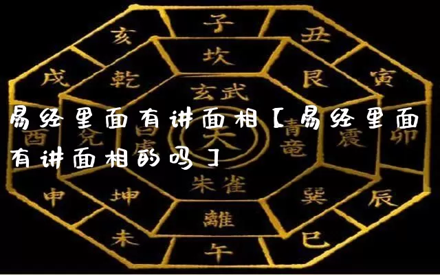 易经里面有讲面相【易经里面有讲面相的吗】_https://www.dao-sheng-yuan.com_八字_第1张