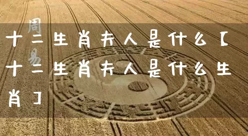 十二生肖夫人是什么【十二生肖夫人是什么生肖】_生肖属相_第1张_道圣缘 十二生肖夫人是什么【十二生肖夫人是什么生肖】_https://www.dao-sheng-yuan.com_生肖属相_第1张