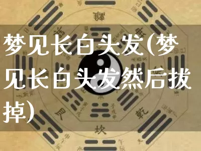 梦见长白头发(梦见长白头发然后拔掉)_https://www.dao-sheng-yuan.com_五行_第1张