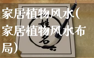 家居植物风水(家居植物风水布局)_https://www.dao-sheng-yuan.com_八字_第1张