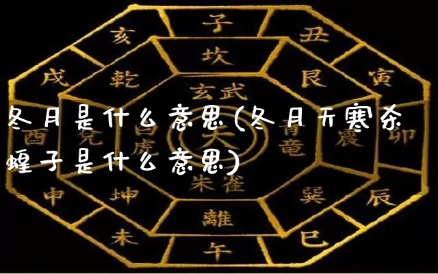 冬月是什么意思(冬月天寒杀蝗子是什么意思)_https://www.dao-sheng-yuan.com_算命_第1张