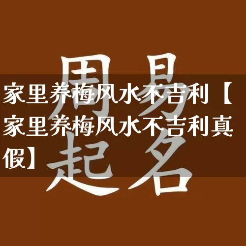 家里养梅风水不吉利【家里养梅风水不吉利真假】_https://www.dao-sheng-yuan.com_易经_第1张