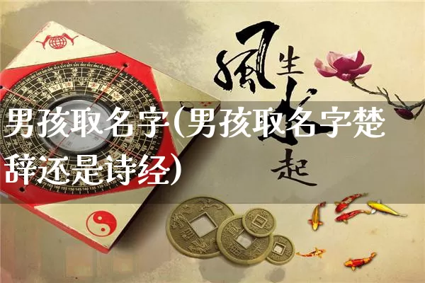 男孩取名字(男孩取名字楚辞还是诗经)_https://www.dao-sheng-yuan.com_起名_第1张