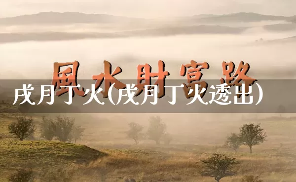 戌月丁火(戌月丁火透出)_https://www.dao-sheng-yuan.com_周公解梦_第1张