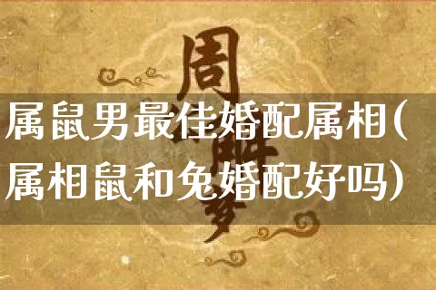 属鼠男最佳婚配属相(属相鼠和兔婚配好吗)_https://www.dao-sheng-yuan.com_算命_第1张