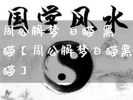 周公解梦 白猫 黑猫【周公解梦白猫黑猫】_https://www.dao-sheng-yuan.com_生肖属相_第1张