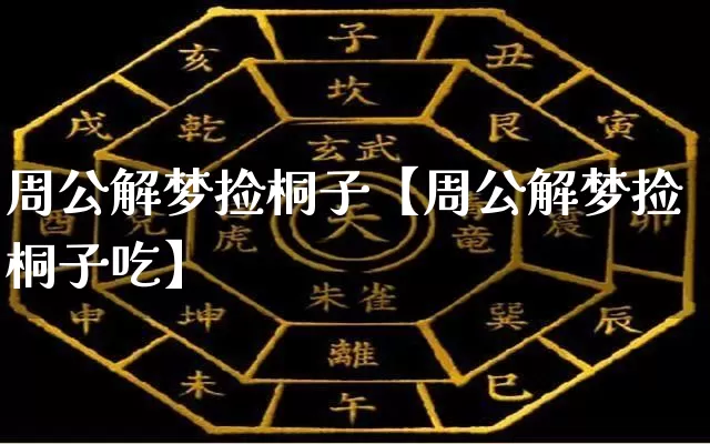 周公解梦捡桐子【周公解梦捡桐子吃】_https://www.dao-sheng-yuan.com_起名_第1张