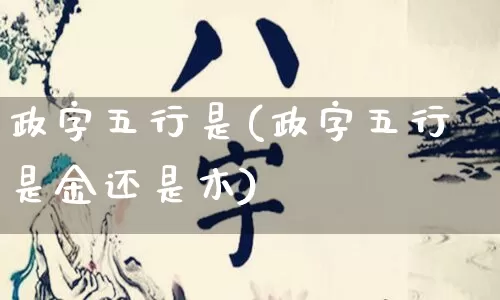 政字五行是(政字五行是金还是木)_https://www.dao-sheng-yuan.com_五行_第1张
