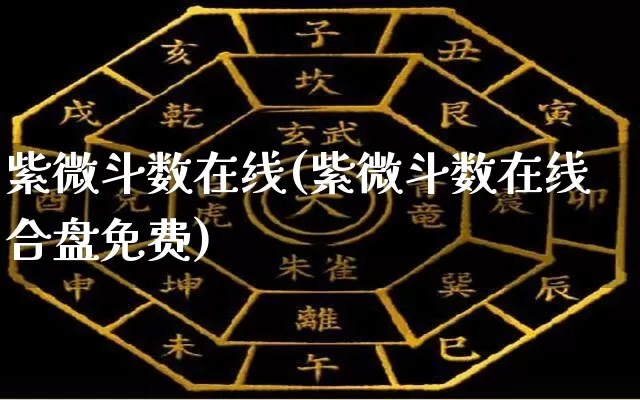 紫微斗数在线(紫微斗数在线合盘免费)_https://www.dao-sheng-yuan.com_起名_第1张