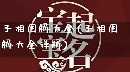 手相图解大全(手相图解大全详解)_https://www.dao-sheng-yuan.com_易经_第1张