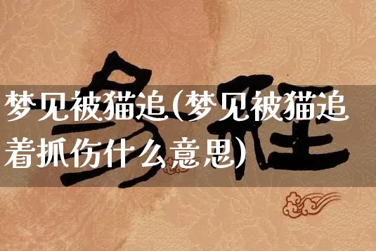 梦见被猫追(梦见被猫追着抓伤什么意思)_https://www.dao-sheng-yuan.com_周公解梦_第1张